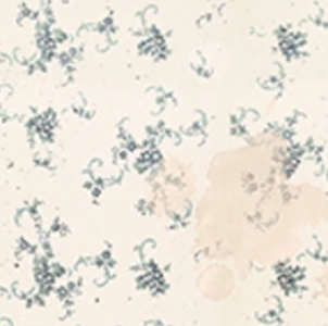 Buttons and Keepsakes Small Floral 5364-14 Frank Garcia Blank Quilting Half Yard