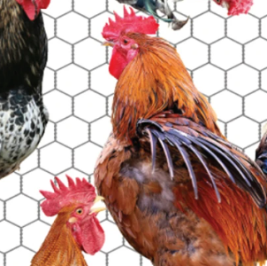 2024 Farm Animals Rooster White 137707 Mook Half Yard