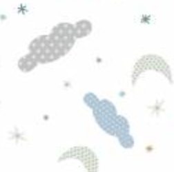 Polar Pals Tossed Night Sky PPAL05846W Sally Darby P&B Half Yard