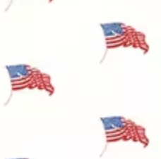 Sew America USA Flags White C17353-WHITE J. Wecker Frisch Riley Blake Half Yard