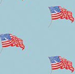 Sew America USA Flags Blue C17353-BLUE J. Wecker Frisch Riley Blake Half Yard