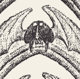 Pre-Order April 2027 Forgotten Calicos No. 012 230534 Edward Gorey Cloud9 Half Yard