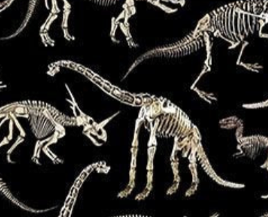 Dino-Mite DINO-CD3944 BLACK Dinosaurs Skeleton Timeless Treasures Half Yard