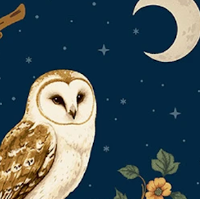 Moonlight Night Guardian Evening Atlantic A-10825-B Michael Nardi Andover Half Yard - Preorder