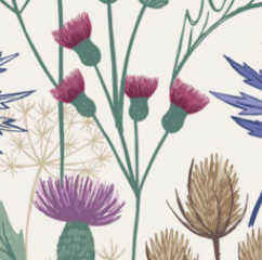Wide Widths 108" Thistle Meadow WW30 Lewis & Irene Per 1 Yard