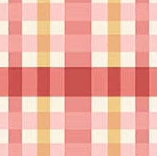 Sparrow Falls Check Cinnamon Red A-10384-R Michael Nardi Andover Half Yard