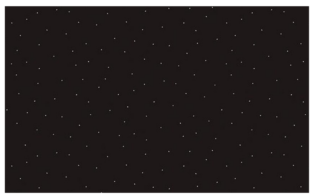 Moonlit Trellis Speckles Black C18217-BLACK My Mind's Eye Riley Blake Half Yard