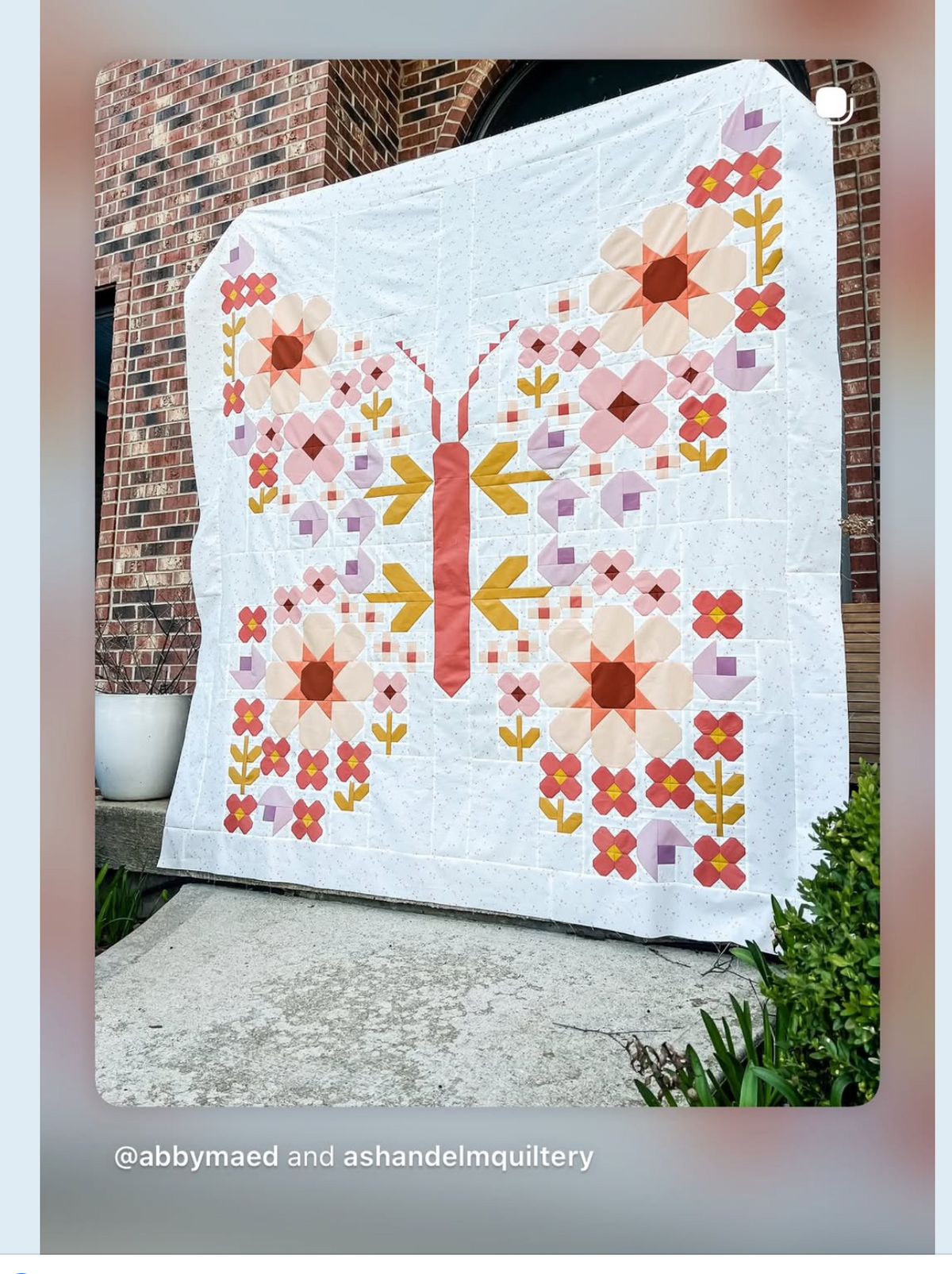 Butterfly Bouquet Quilt Kit Art Gallery Fabrics Abby Maed KIT