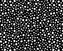 Leezaworks Bok Bok Meow Beans STELLA-DLW3700 Dear Stella Half Yard