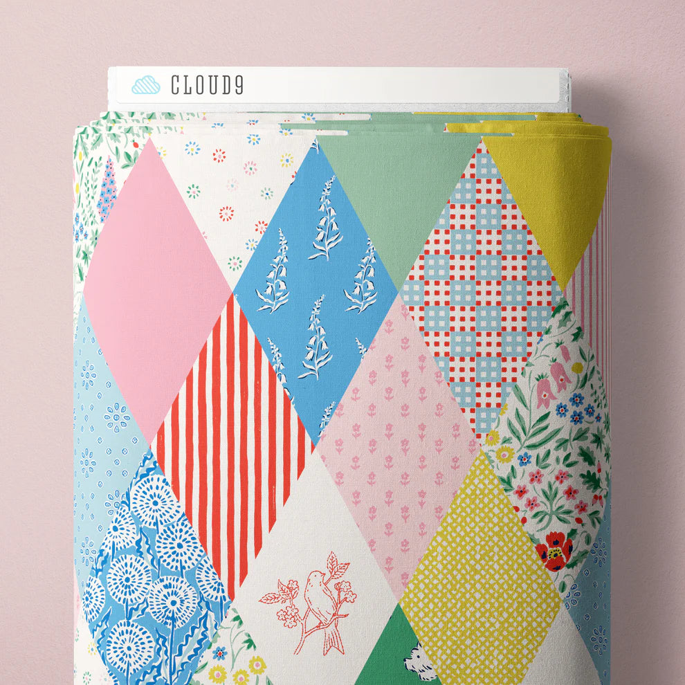 Summers End 229741 Clothes Line Quilt Emily Taylor Cloud9 Half Yard