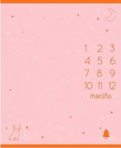 Birthday Panel Cotton Candy Sarah Watts Moda Fabrics MF-RS2043-13-A15-117A-N25