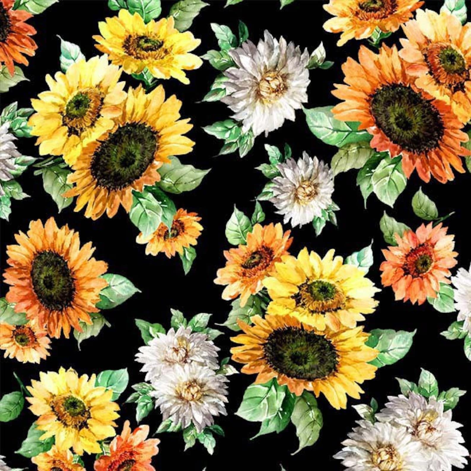 BLOOMING SUNFLOWERS BLACK MICHAEL MILLER DCX10734-BLAC-D HALF YARD
