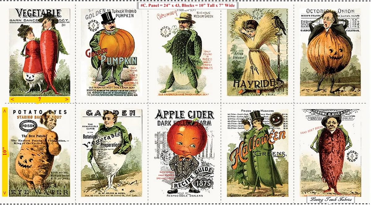 Pumpkin Patch Seedy Characters 24" Panel PD14572-PANEL J Wecker Frisch Riley Blake 183P