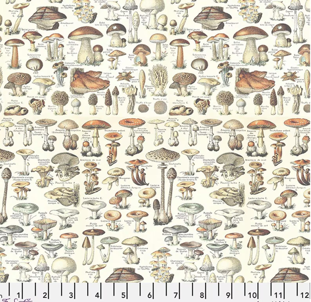 Palette Curated PWTH236.CORANGE Toadstools Ecelectic Elements Tim Holtz Free Spirit