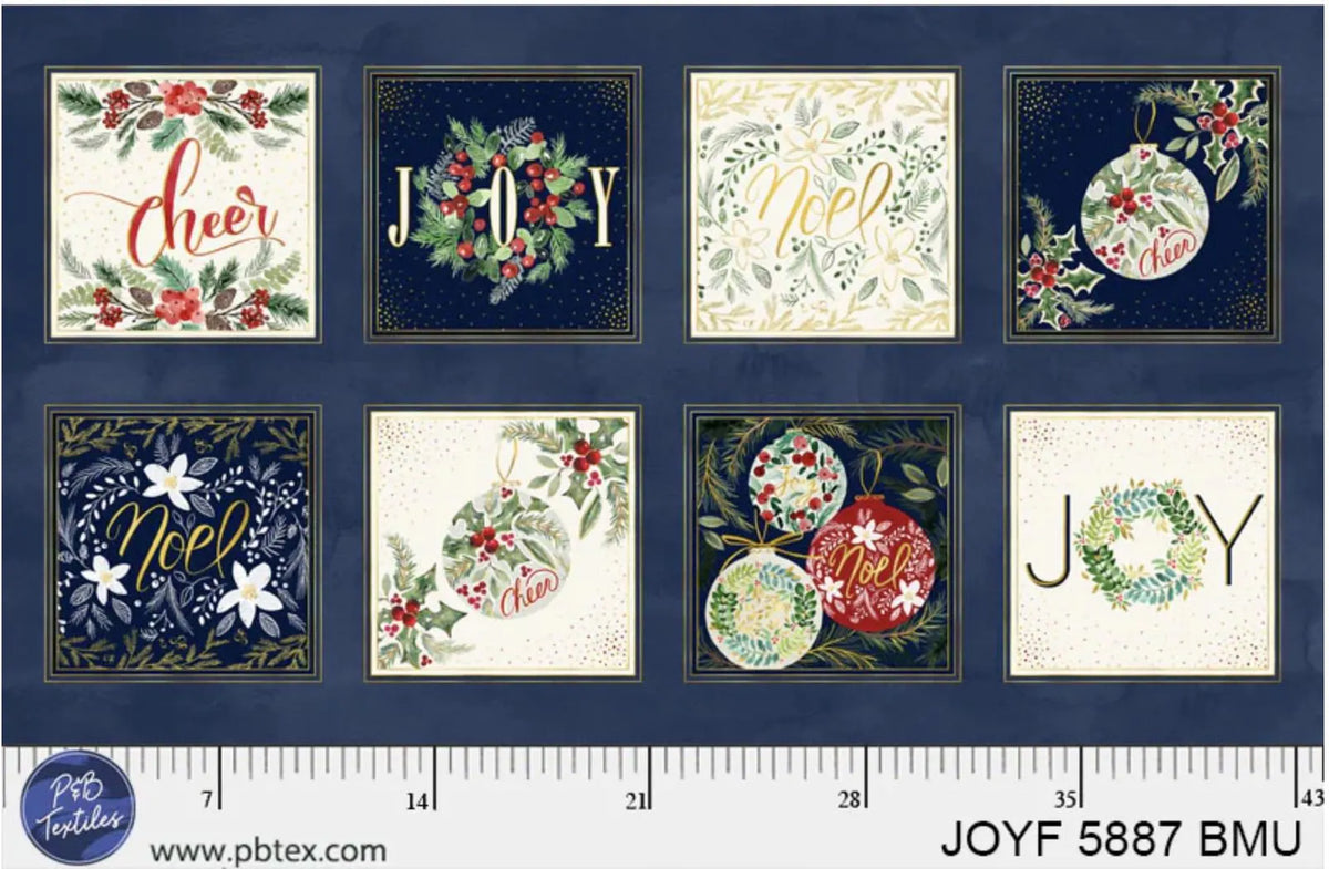 Joyful Blocks Panel JOYF05887BMU Sara Berenson P&B