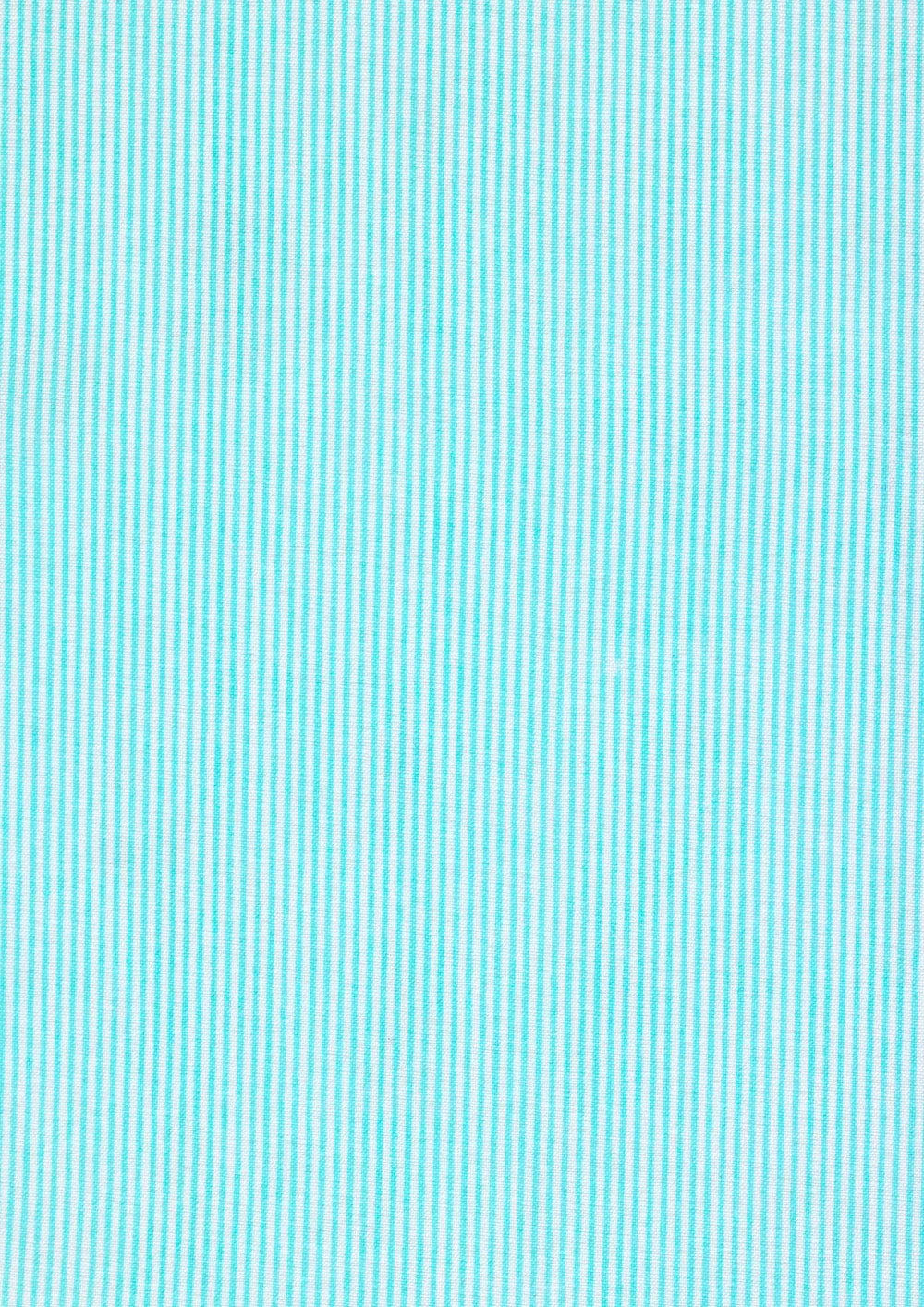 Petit Pan 40m Bias Tape Rigato azur 520-024-431