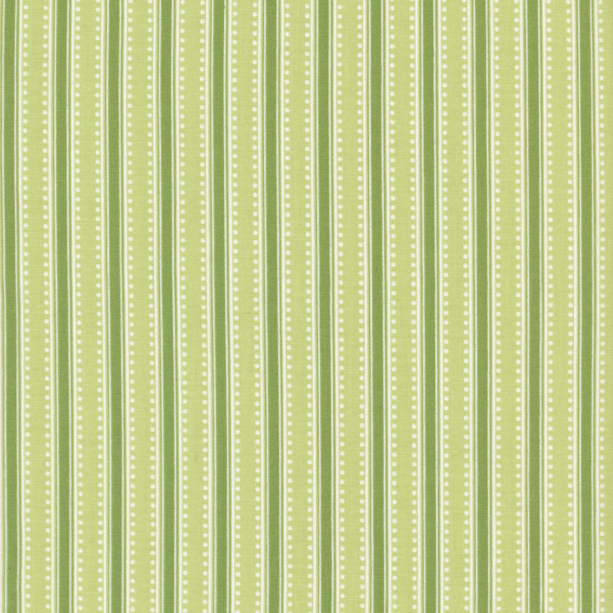 In the Garden Stripes CPL16834-GREEN Riley Blake Half Yard